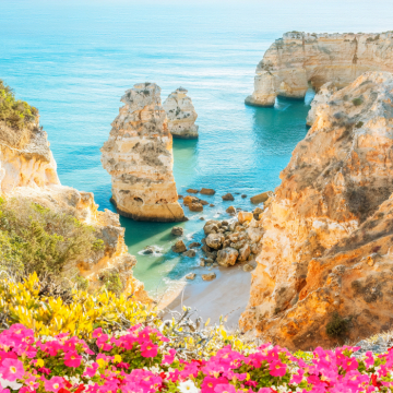 Suncation - Sonne, Strand und echtes Sommerfeeling